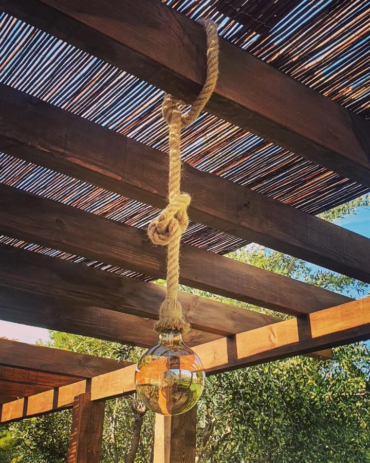 Zenia Hostel プラヤ・フラメンカ エクステリア 写真