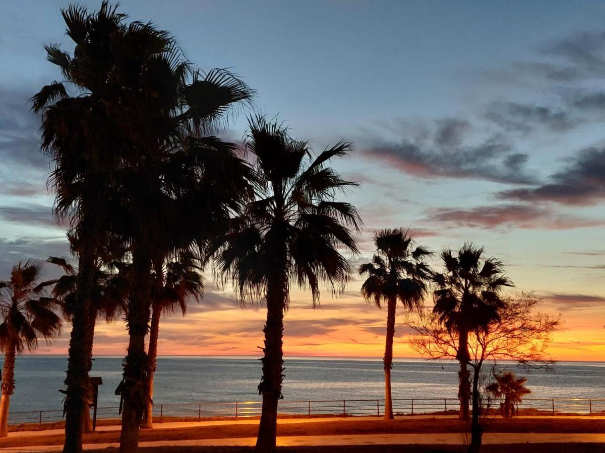 Zenia Hostel プラヤ・フラメンカ エクステリア 写真